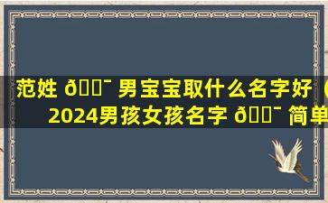 范姓 🐯 男宝宝取什么名字好（2024男孩女孩名字 🐯 简单好记）